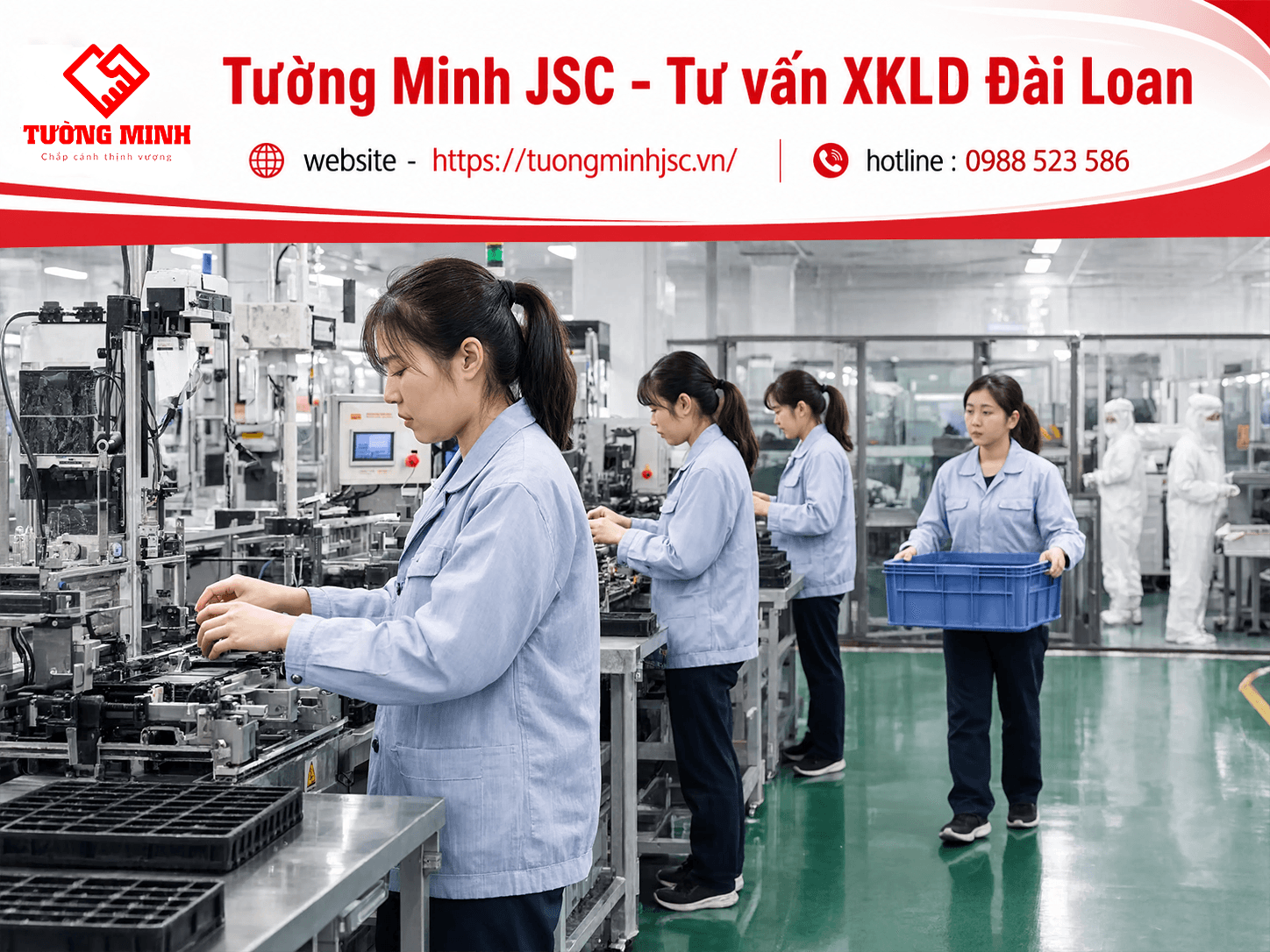 Đơn hàng điện tử Hòa Thân