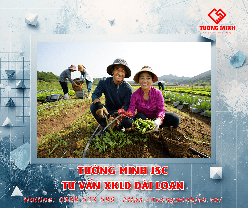 bg_image