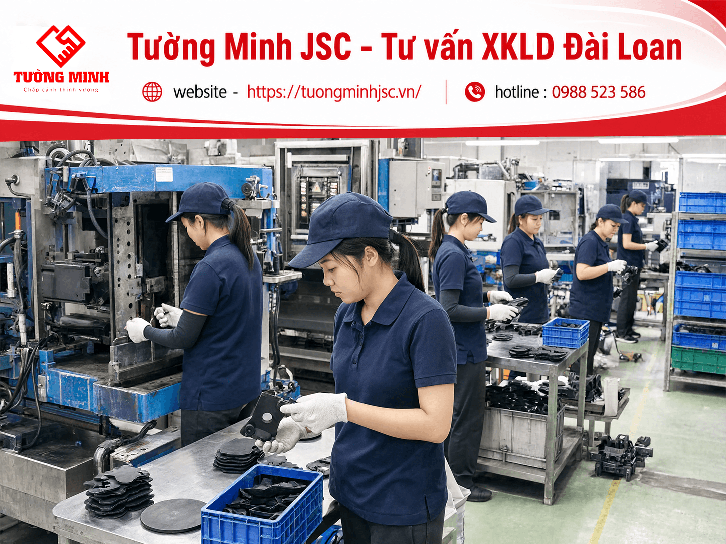 Đơn hàng sản xuất cao su Đỉnh Sâm Tân Trúc